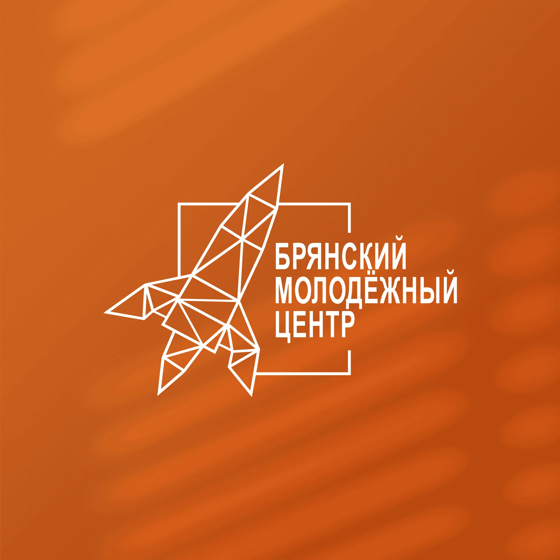 БМЦ — 4