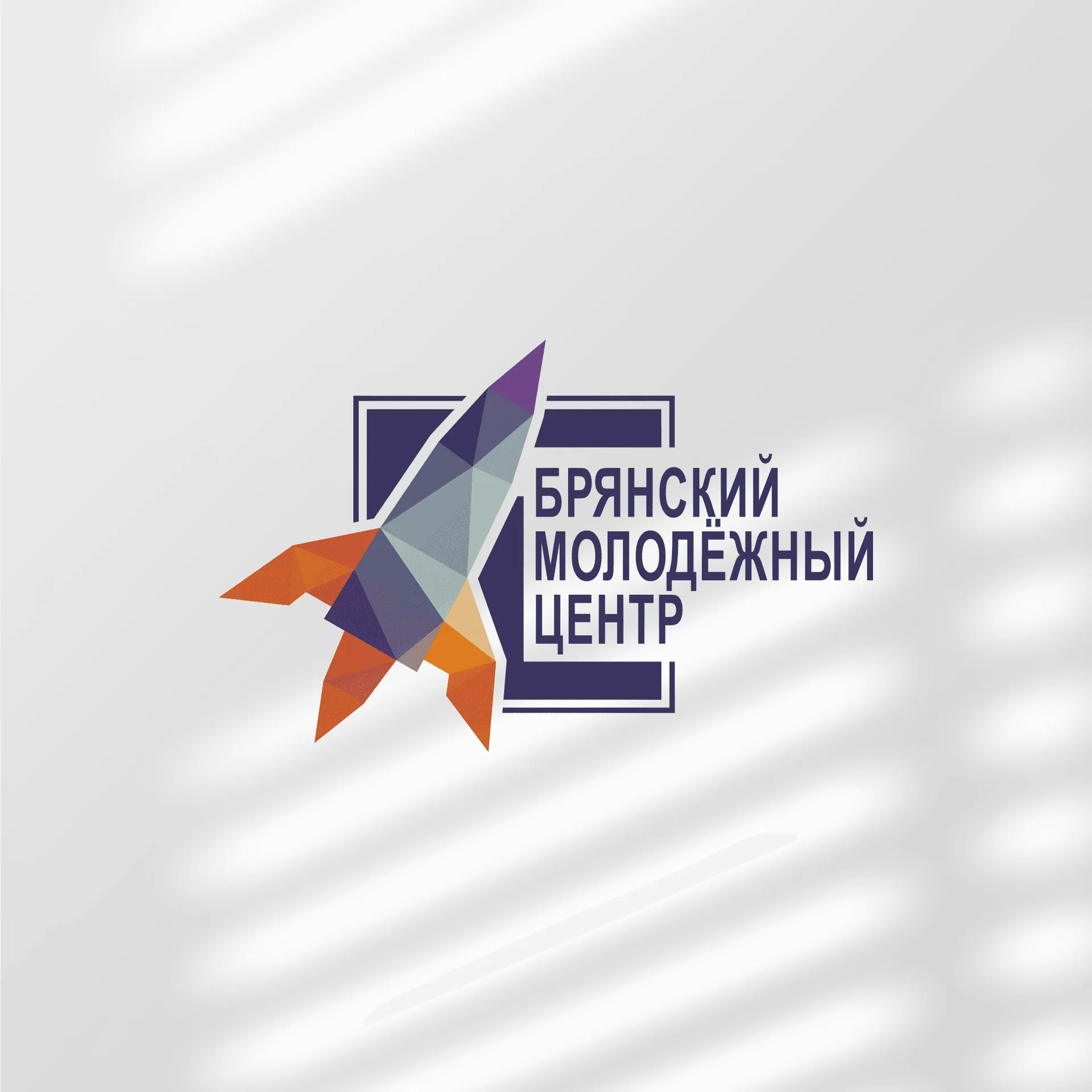 БМЦ — 3